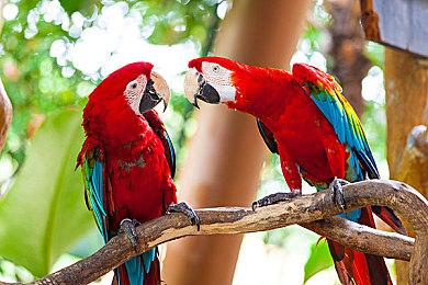 前WOW首席设计师新作《Arkheron》即将开测